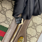 Gucci Belt Bag & Fanny Pack