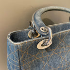 Dior Metal Satchel