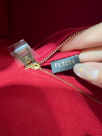 Louis Vuitton M44576