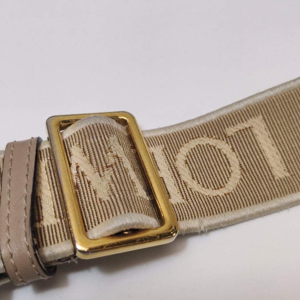 Loewe Crossbody