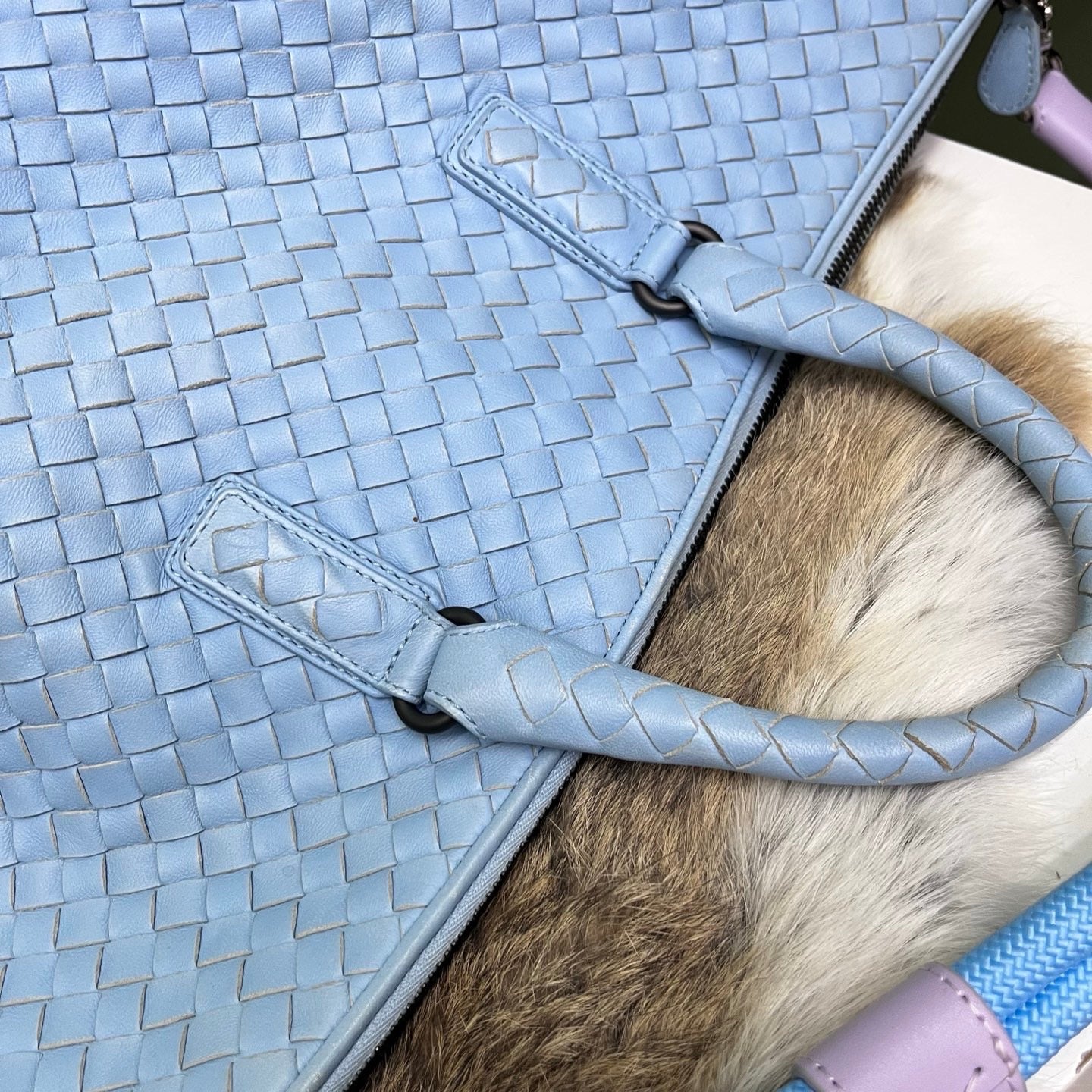 Bottega Veneta Blue