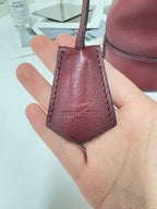 Louis Vuitton Red Bucket & Drawstring Bag