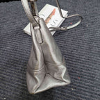 Miu Miu Silver Crossbody