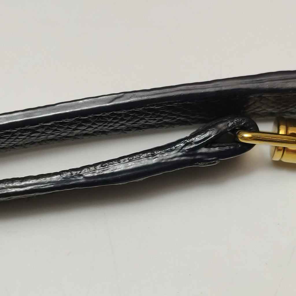 Celine Crossbody 189003ZVA.01IV