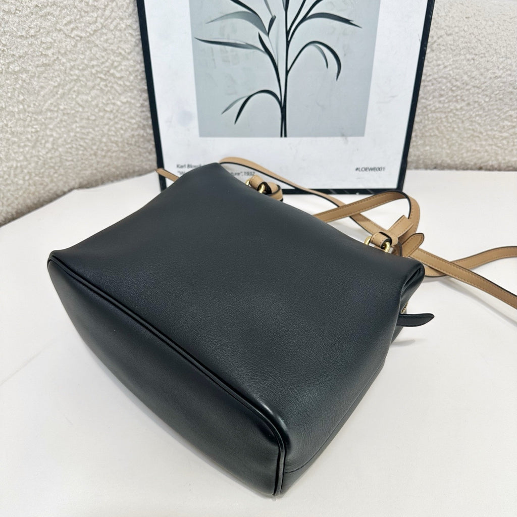 Celine Crossbody