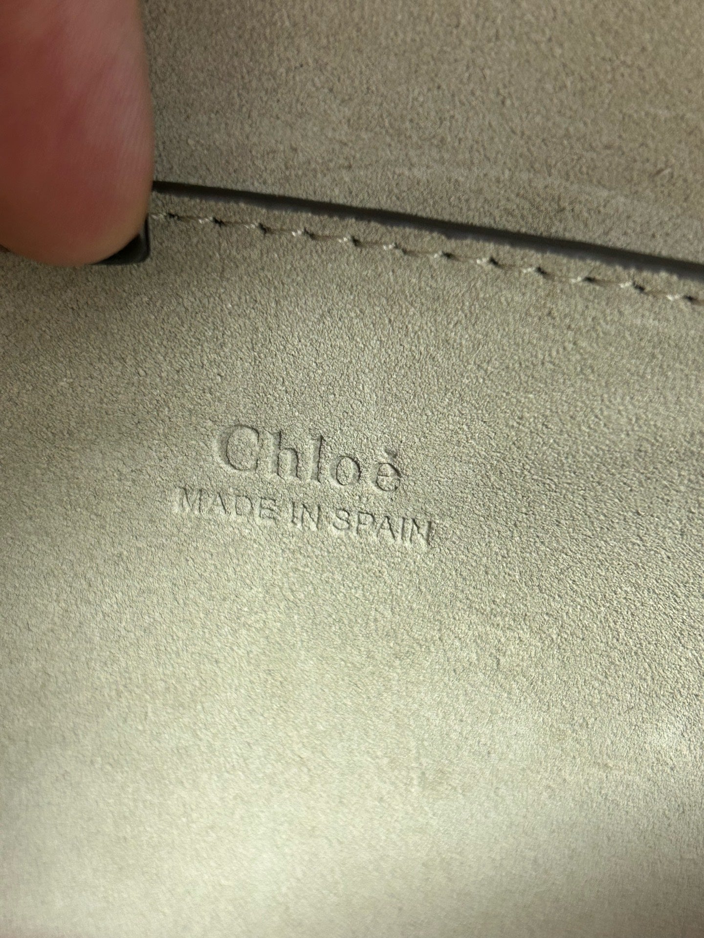 Chloe Alcantara Crossbody
