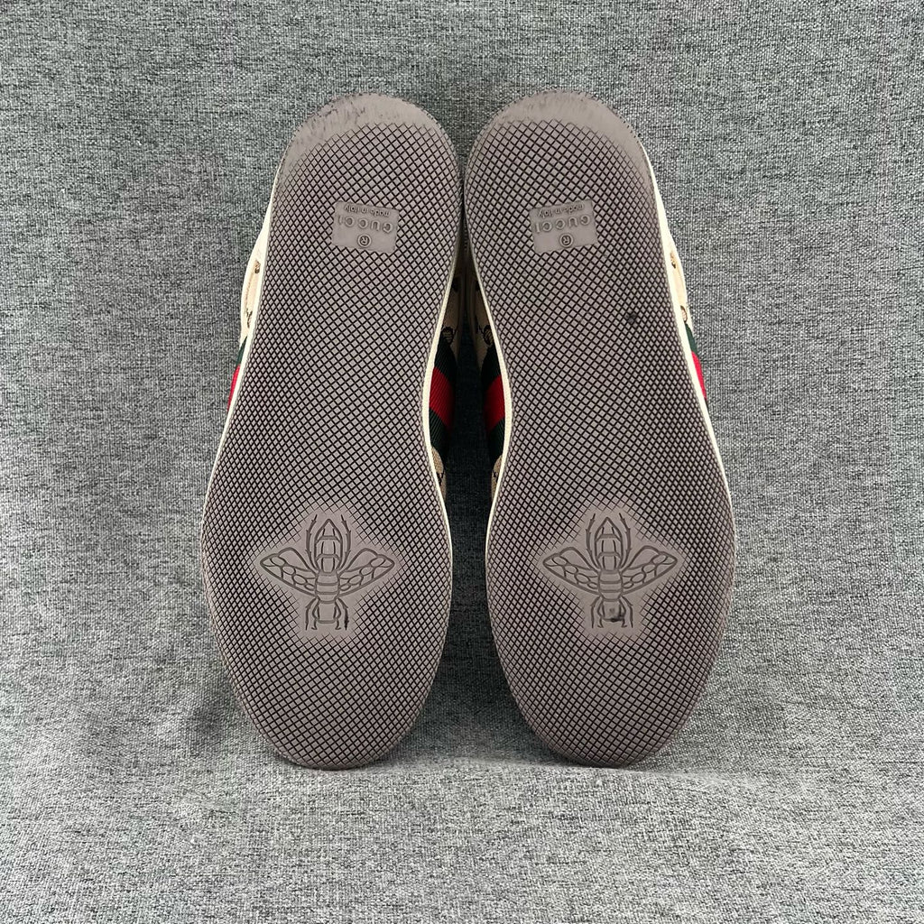 Gucci Canvas