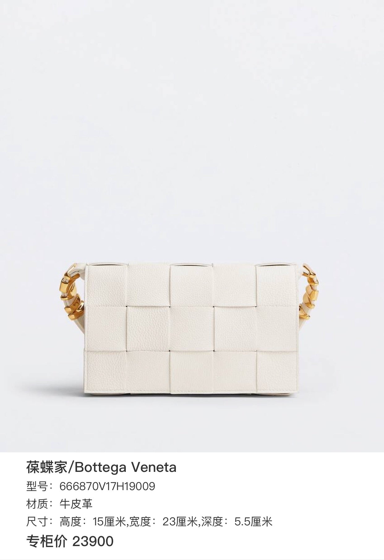 Bottega Veneta Leather Crossbody