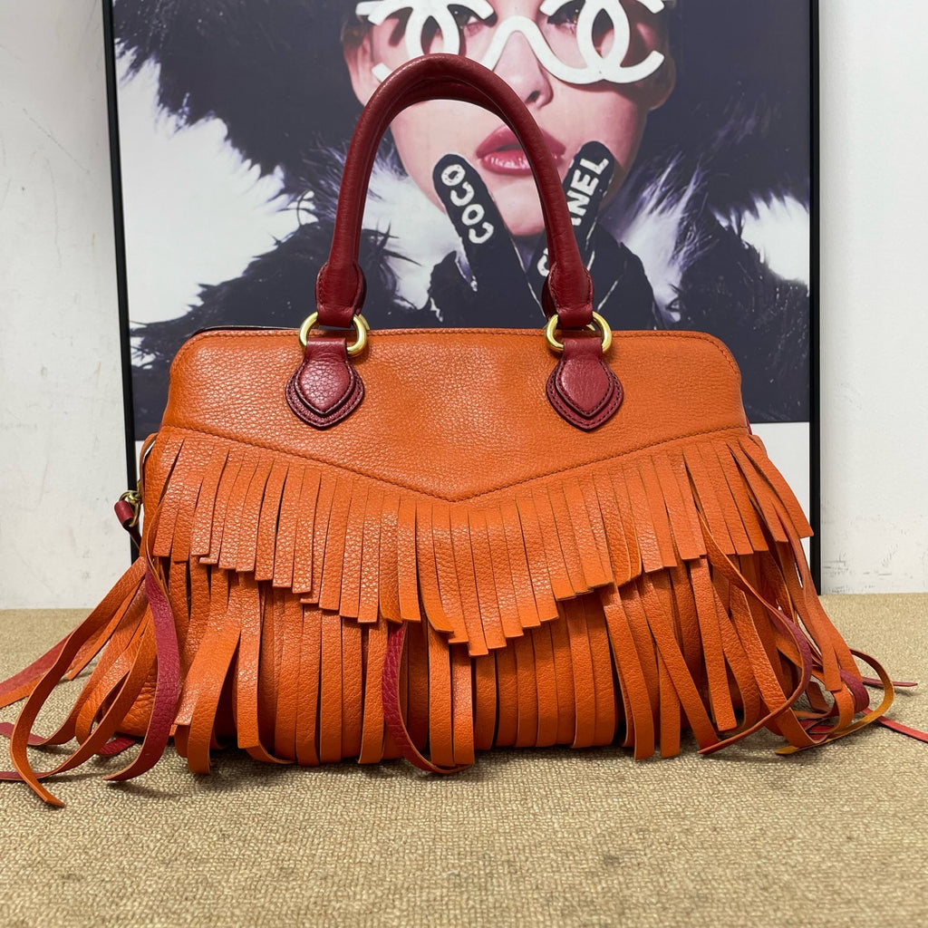 Miu Miu Crossbody