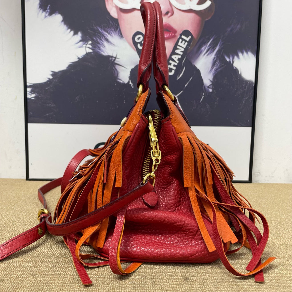 Miu Miu Crossbody
