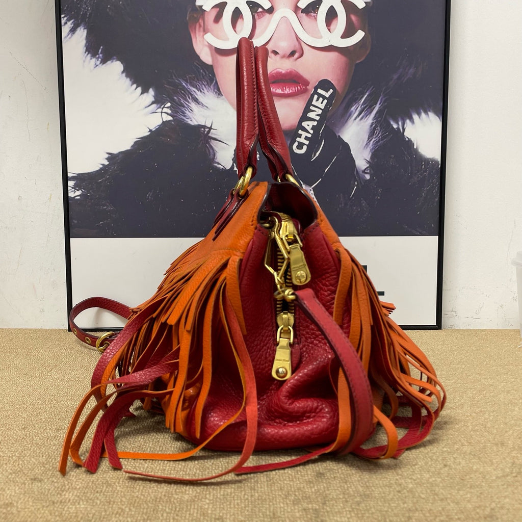 Miu Miu Crossbody