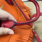 Miu Miu Crossbody