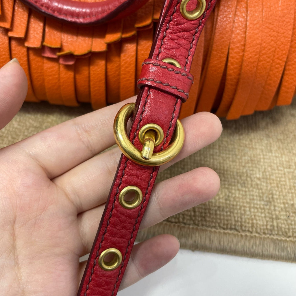 Miu Miu Crossbody