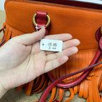 Miu Miu Crossbody