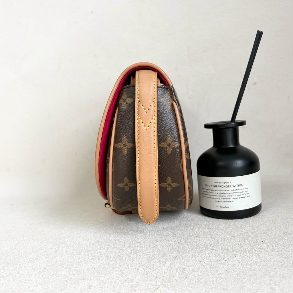 Louis Vuitton Saddle Bag