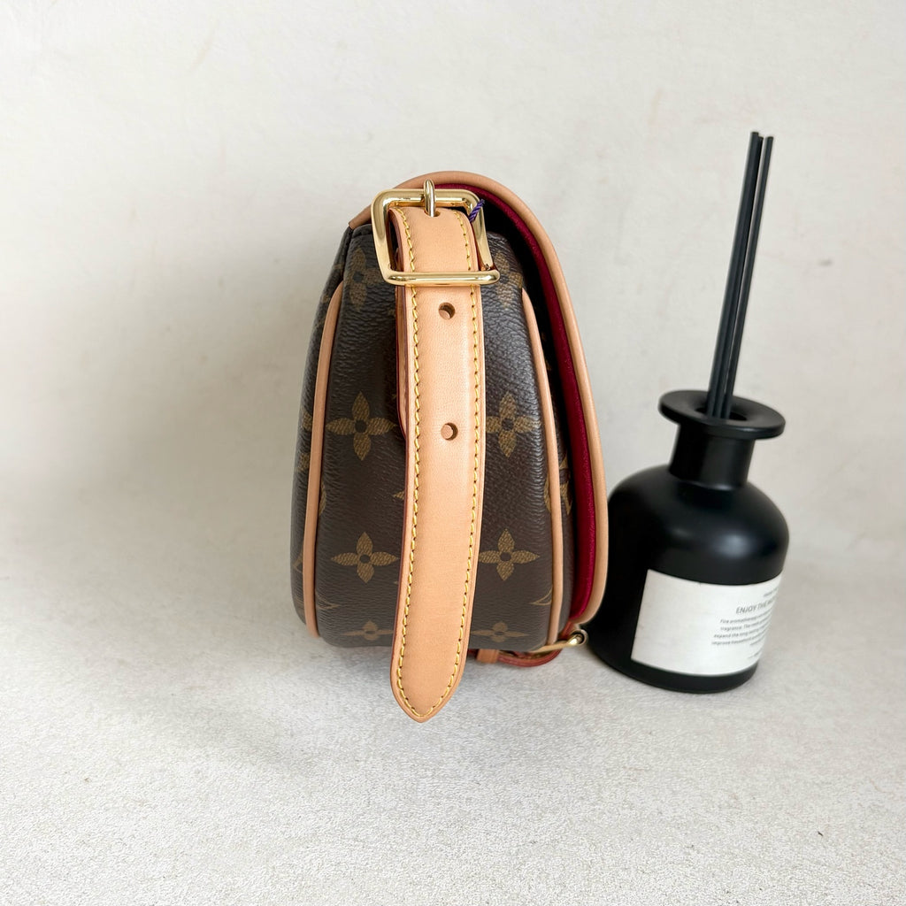 Louis Vuitton Saddle Bag