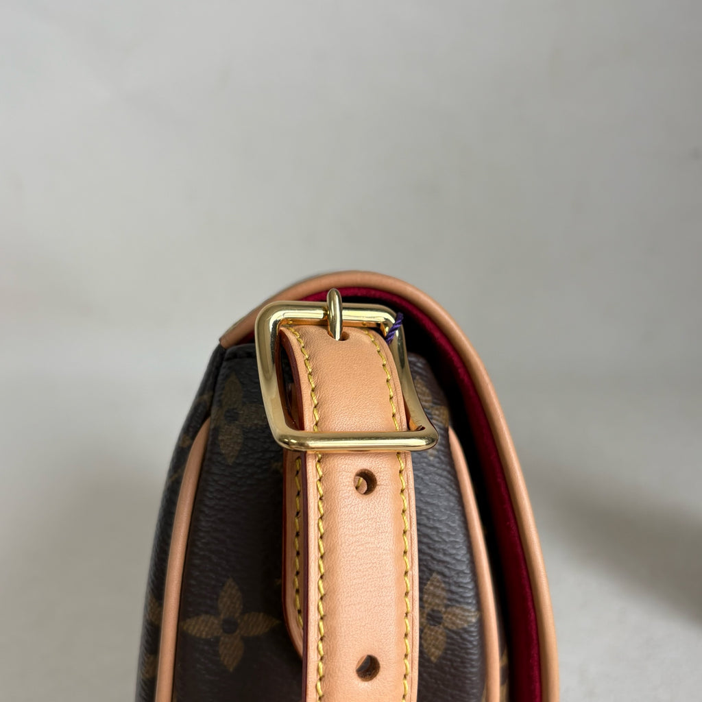 Louis Vuitton Saddle Bag