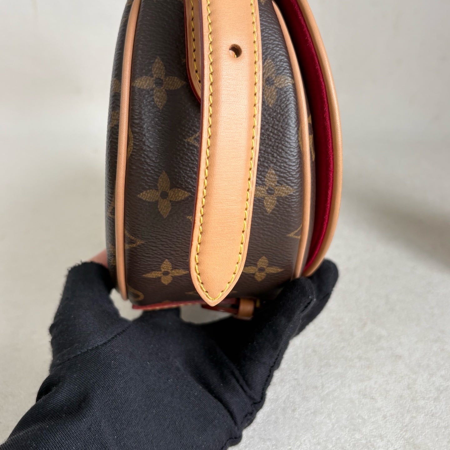 Louis Vuitton Saddle Bag