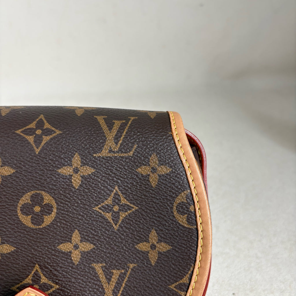Louis Vuitton Saddle Bag