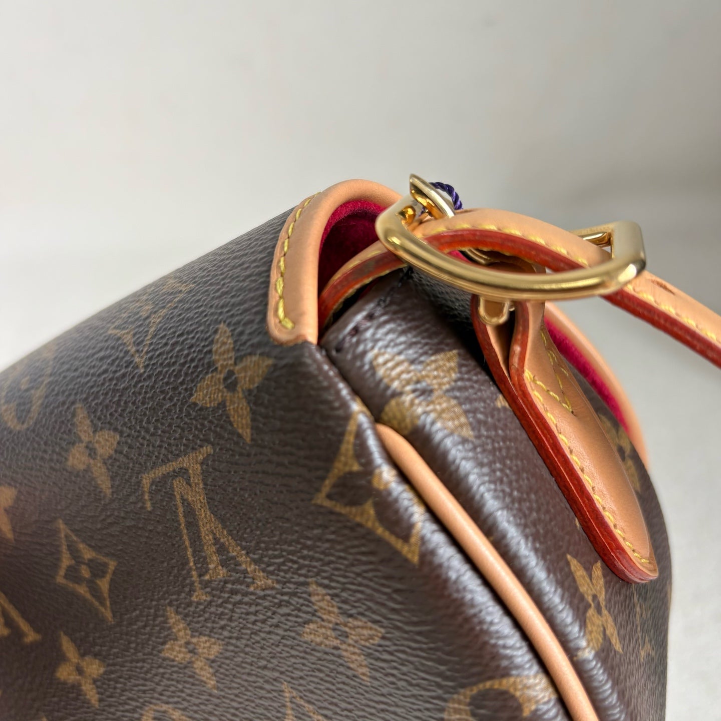 Louis Vuitton Saddle Bag