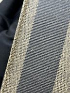 Fendi Crossbody