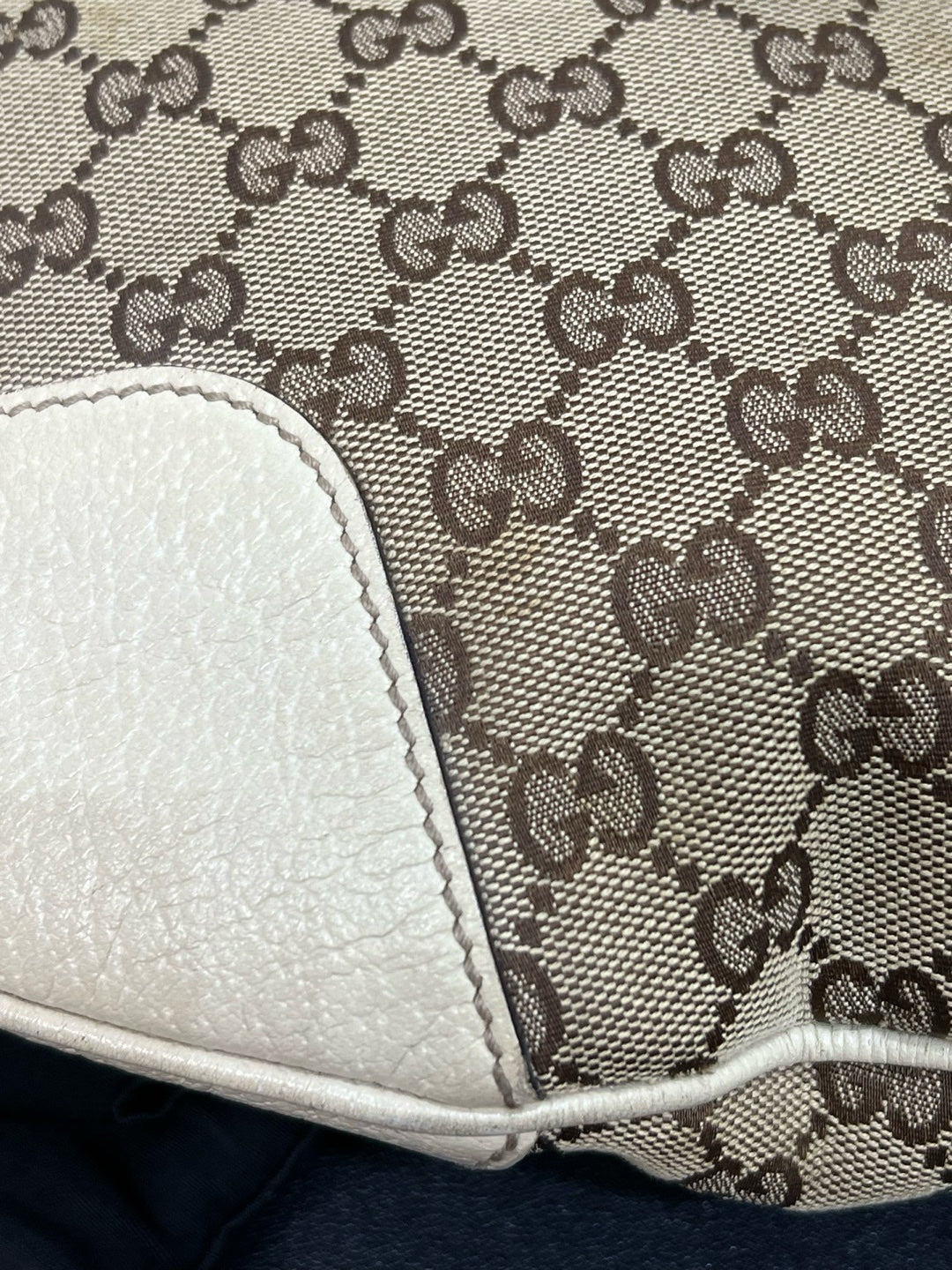 Gucci Canvas