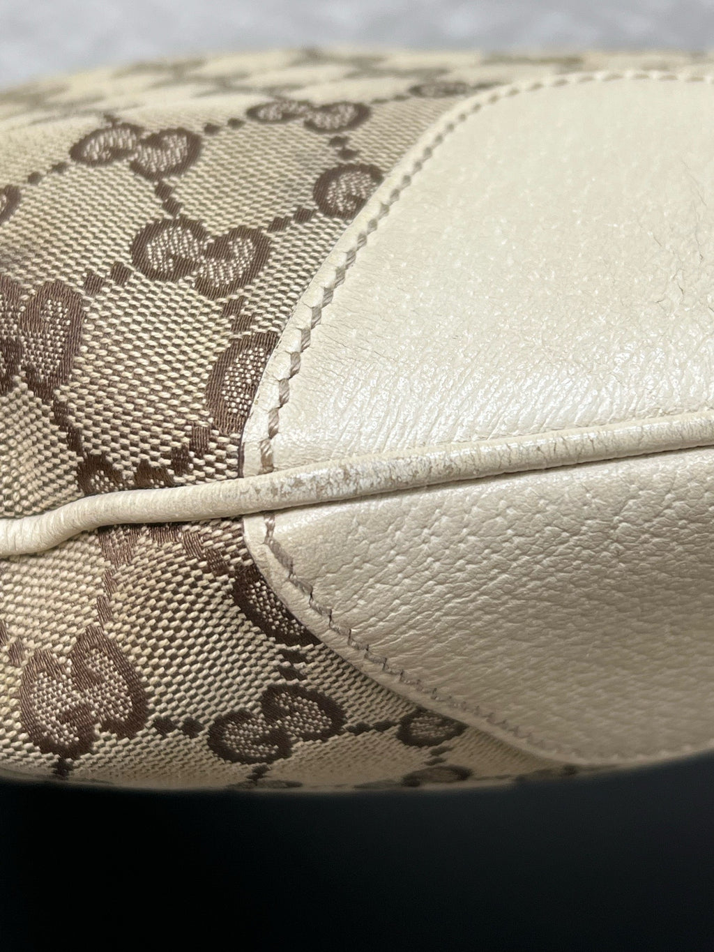 Gucci Canvas