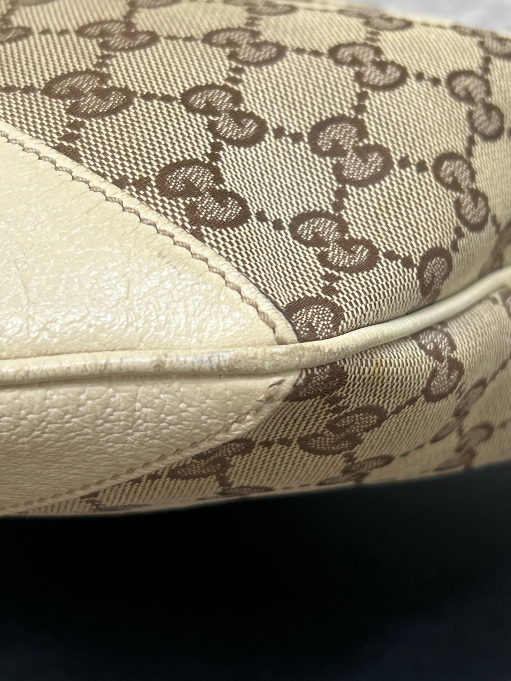 Gucci Canvas