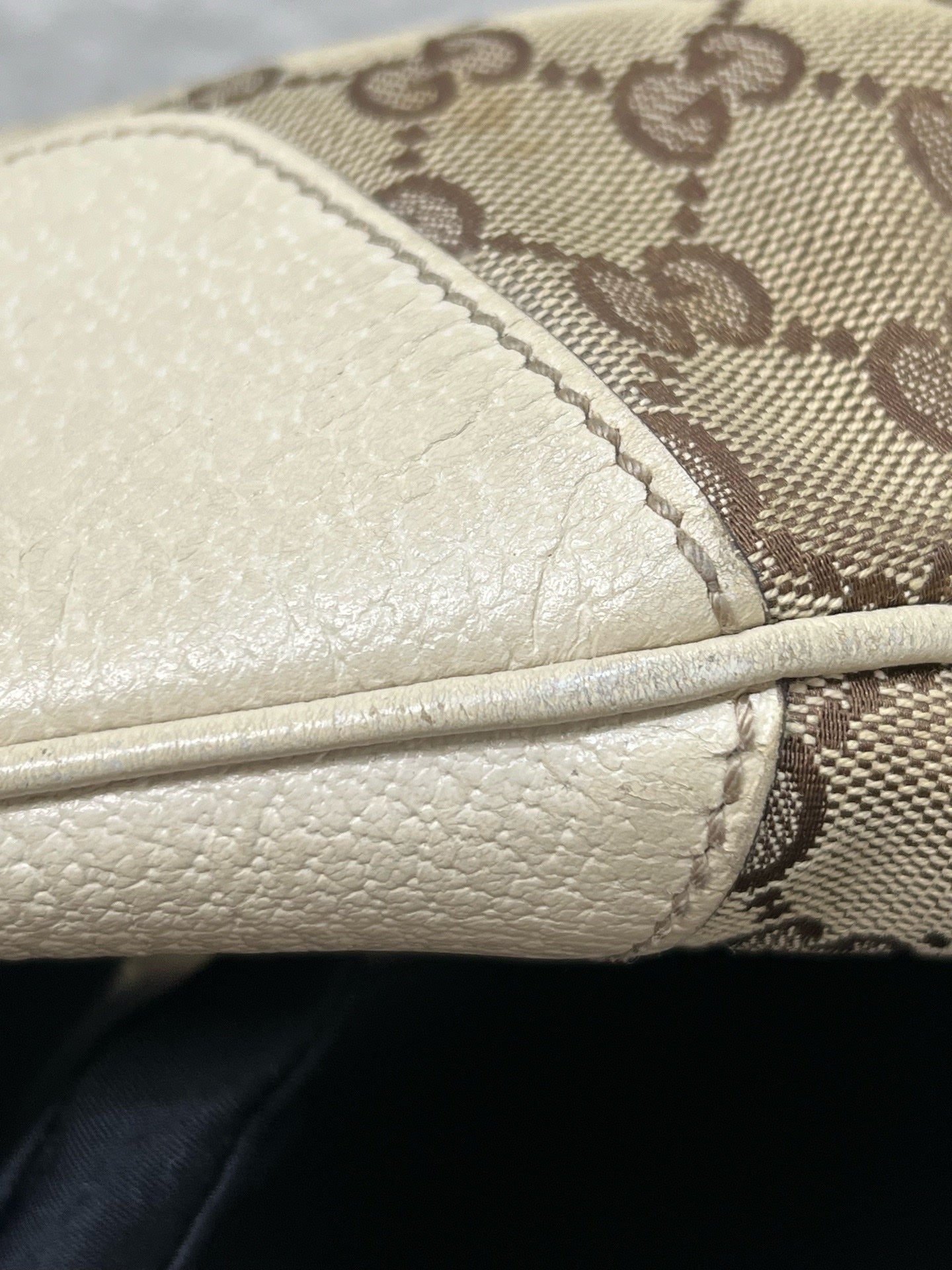 Gucci Canvas