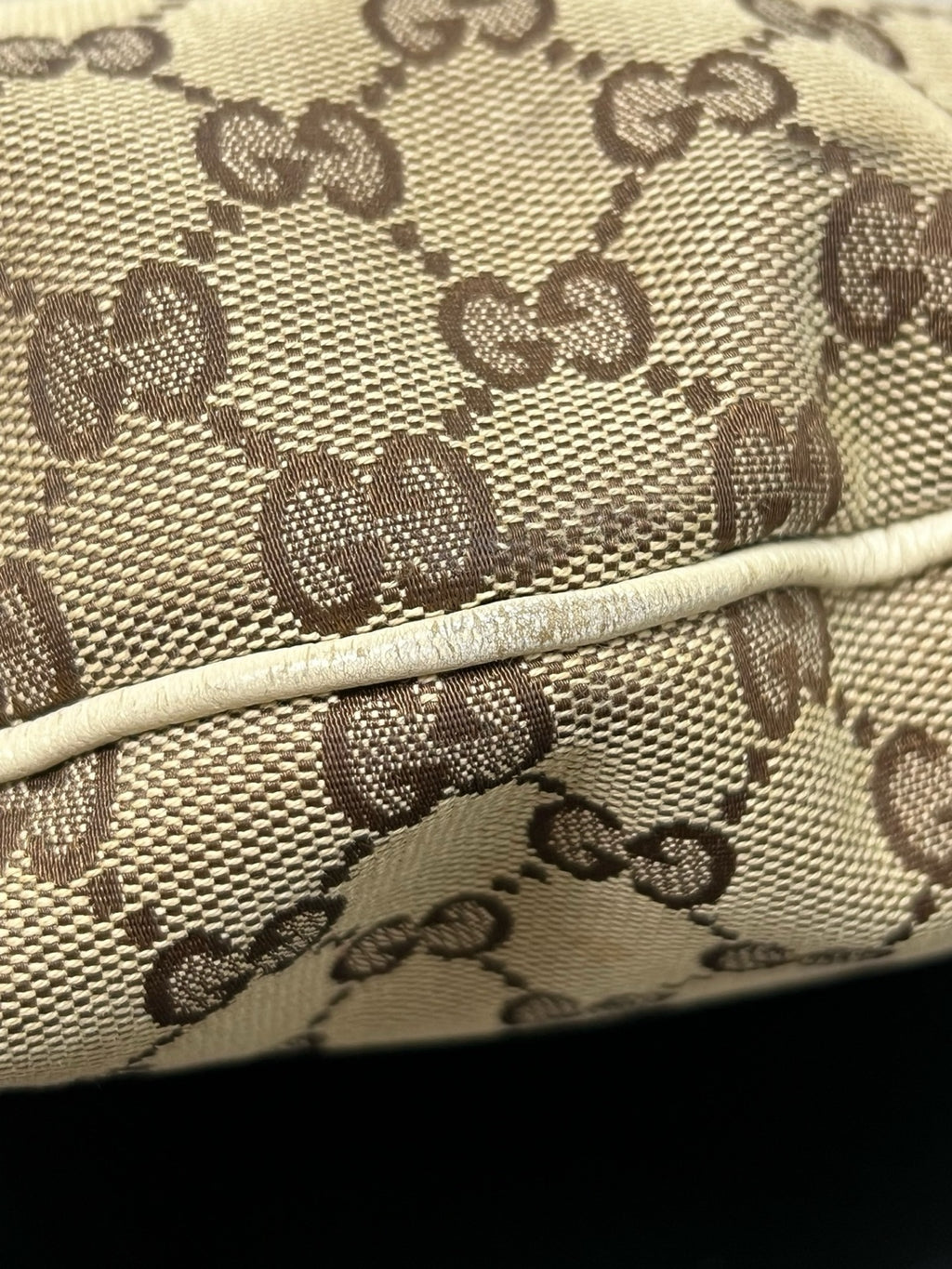 Gucci Canvas