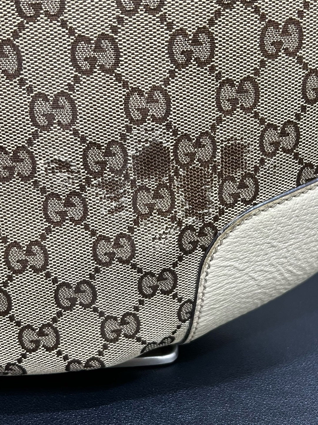Gucci Canvas