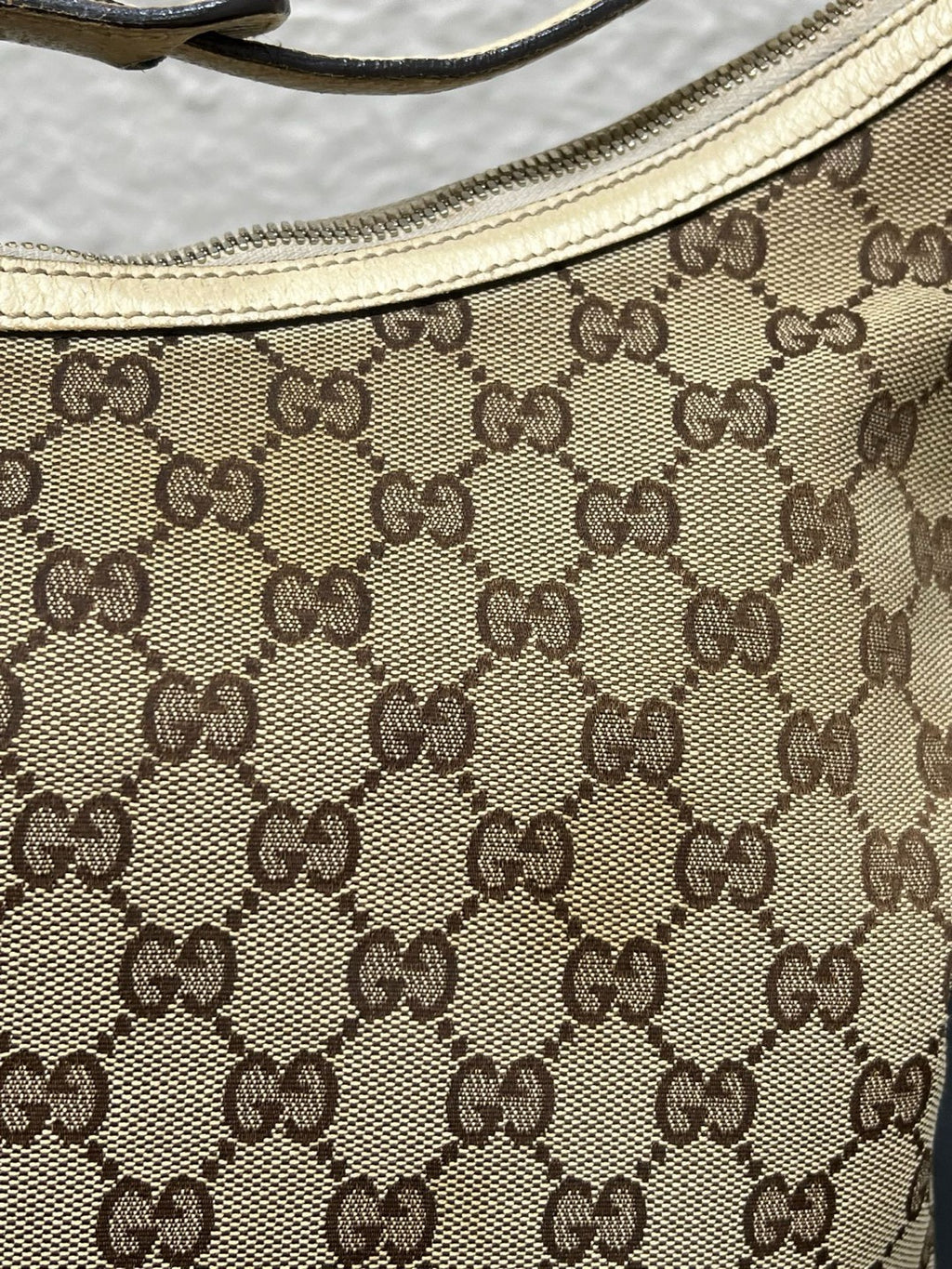 Gucci Canvas