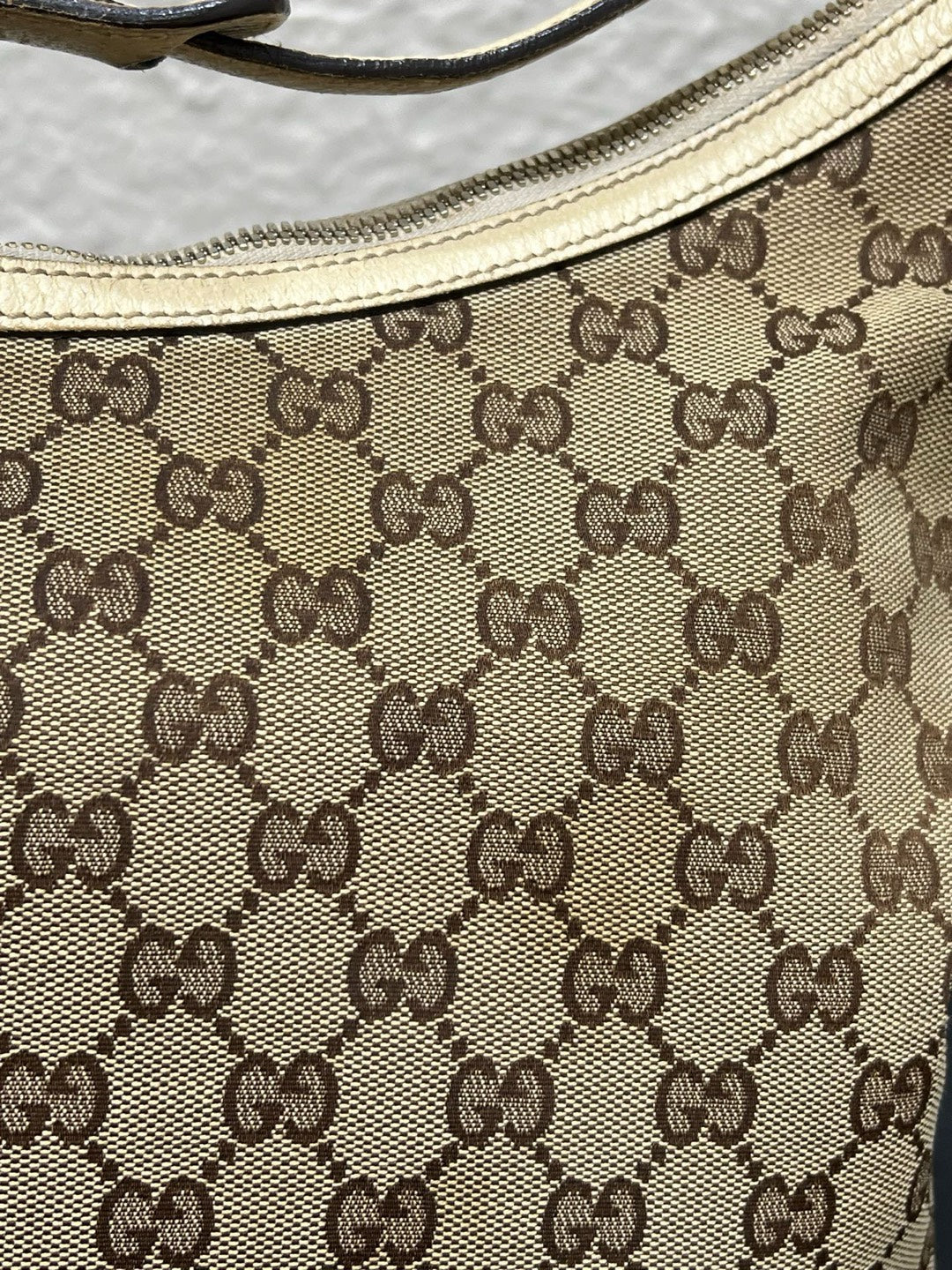 Gucci Canvas