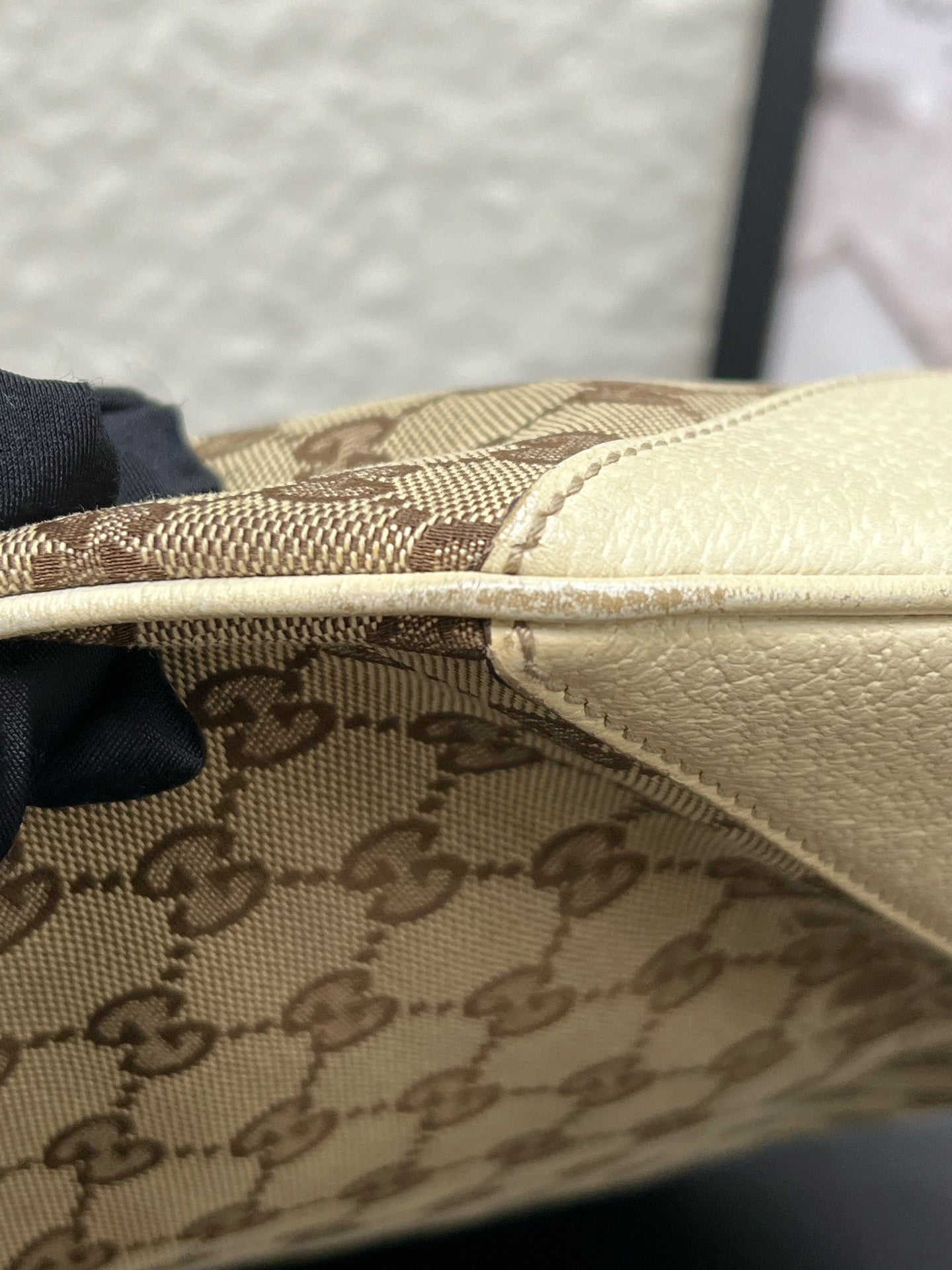 Gucci Canvas