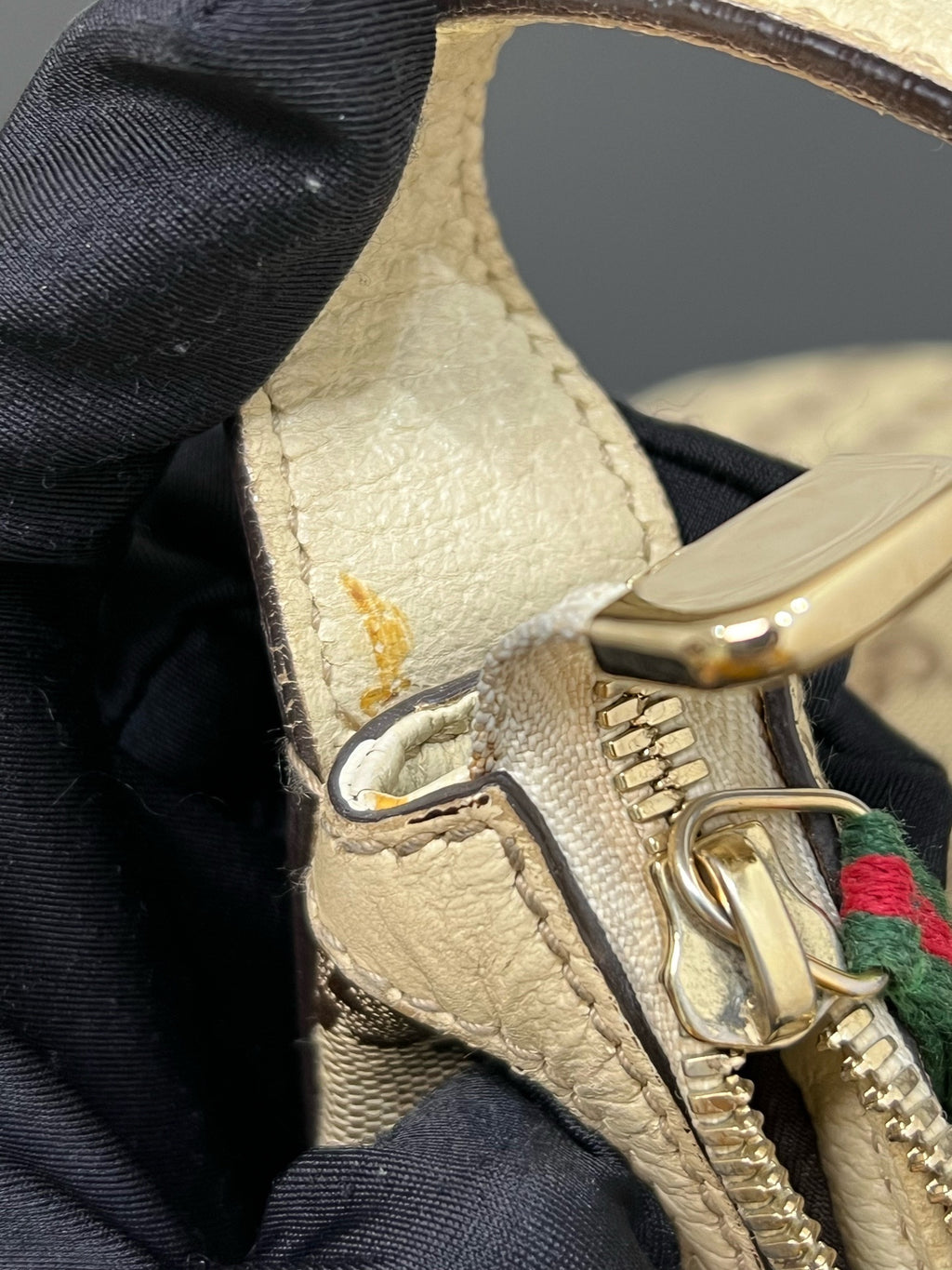 Gucci Canvas