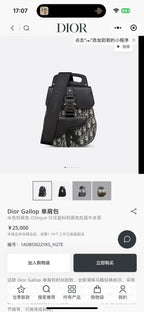 Dior Sling Bag