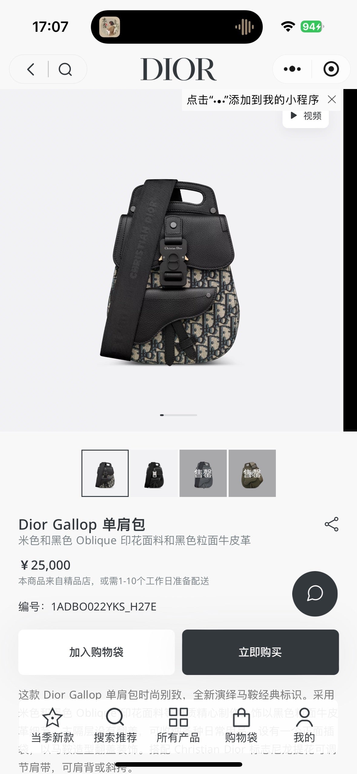 Dior Sling Bag