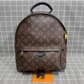 Louis Vuitton Backpack