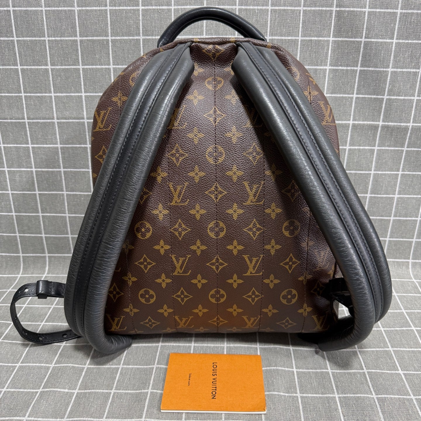 Louis Vuitton Backpack