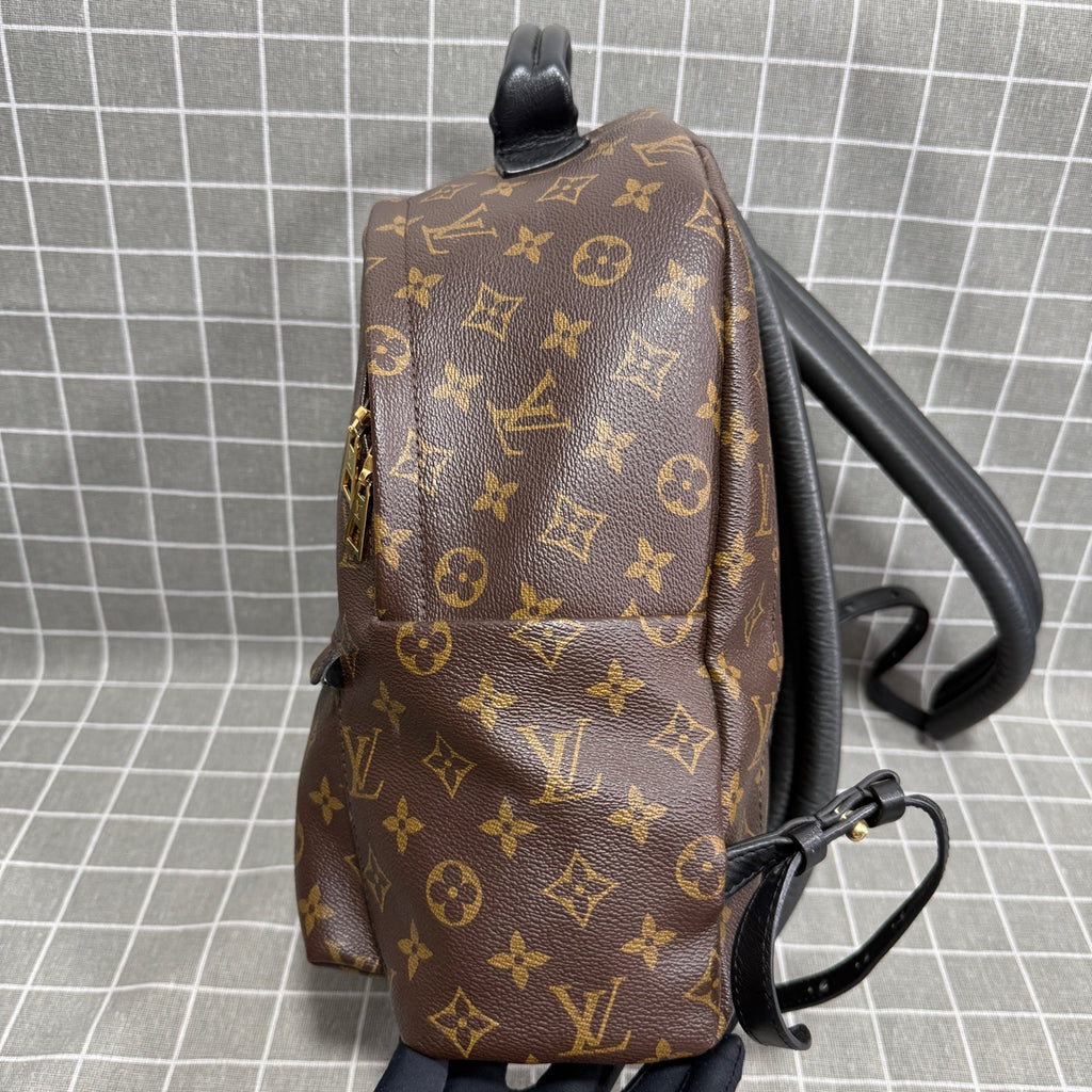 Louis Vuitton Backpack
