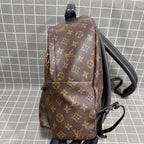 Louis Vuitton Backpack