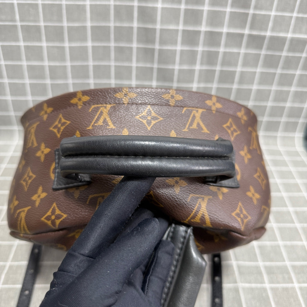 Louis Vuitton Backpack