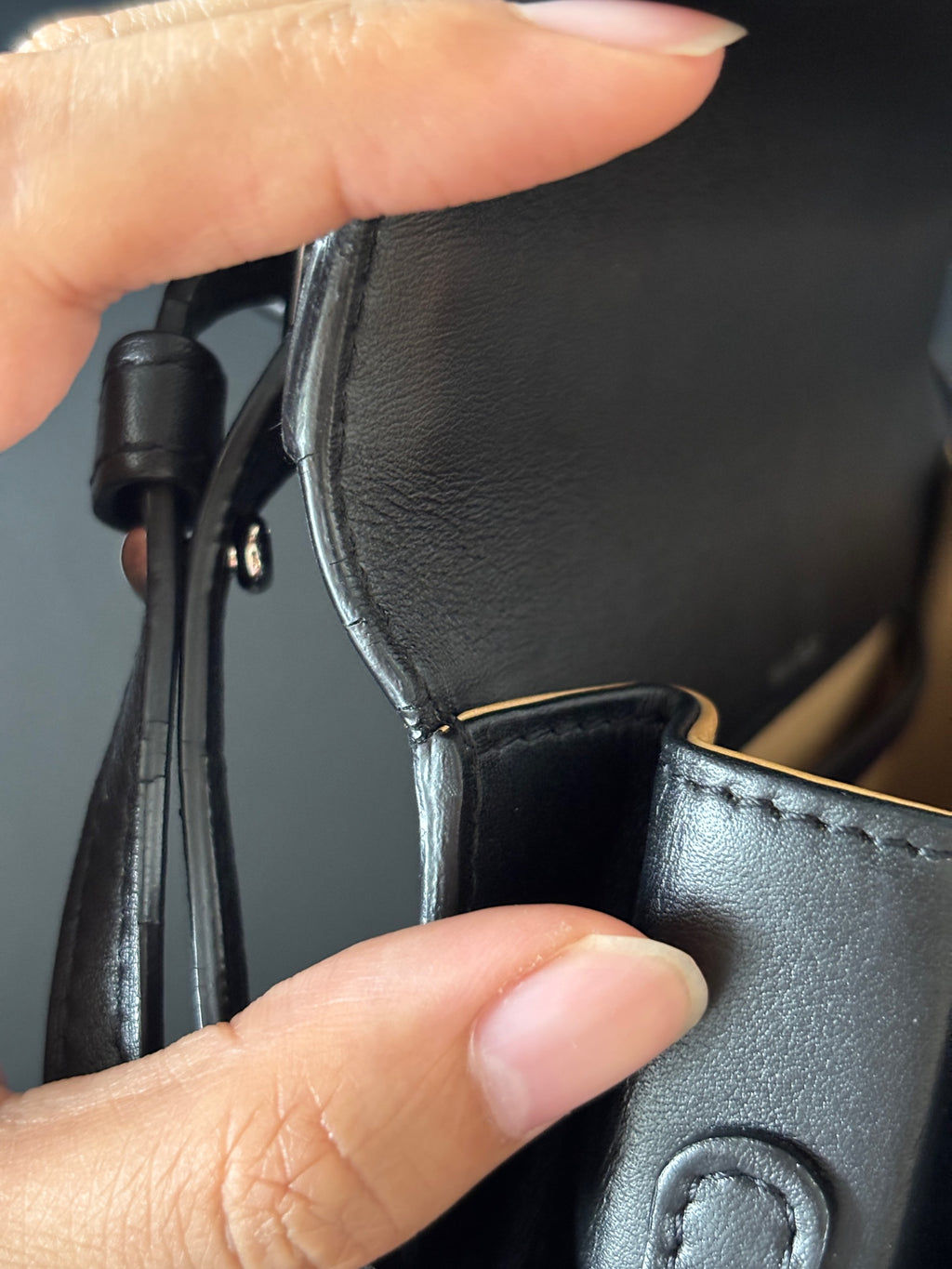Delvaux Black Crossbody