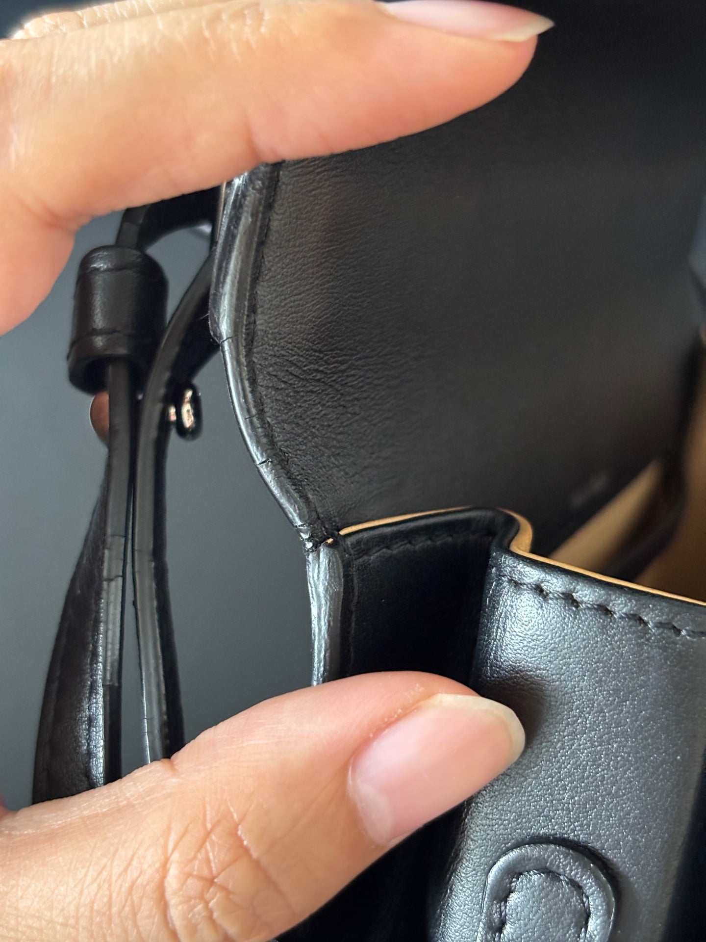 Delvaux Black Crossbody