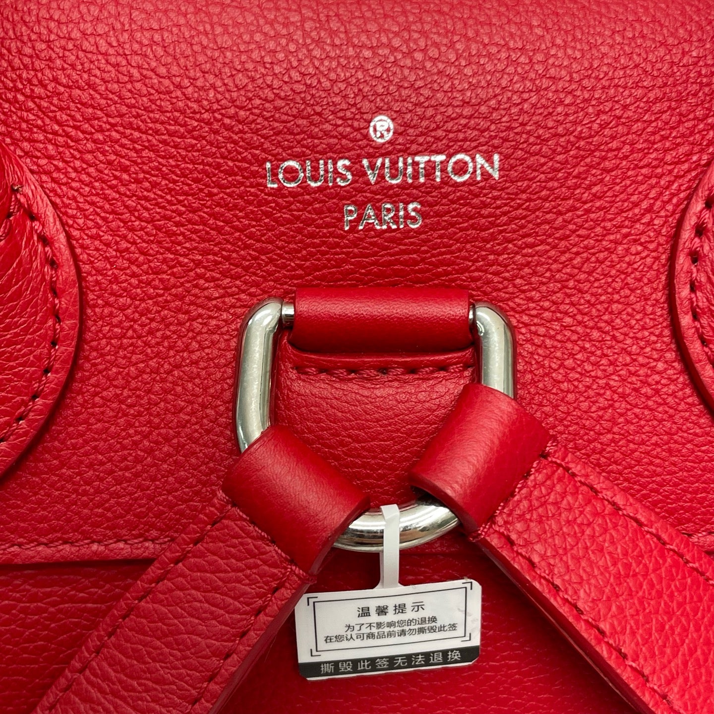 Louis Vuitton Red Backpack