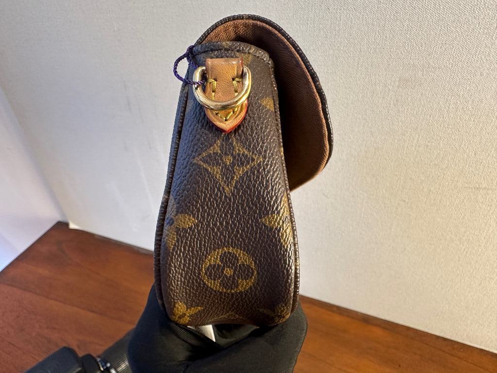 Louis Vuitton Wallet On Chain Ivy M81911