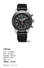 IWC Pilot’s watch 46.0 IW395001