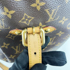 Louis Vuitton Brown