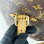 Louis Vuitton Brown