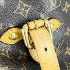 Louis Vuitton Brown